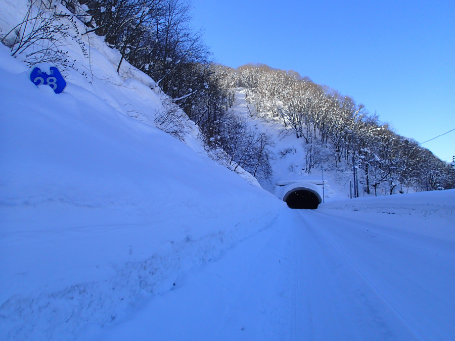 津軽白神湖周辺道路